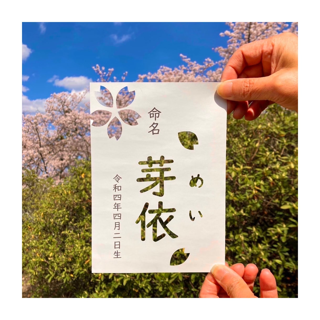 切り絵と書道の融合。○゜命名書を制作いたします 選べる色・字体・装飾でオリジナルの命名書を！ イメージ1