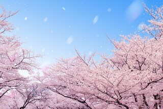 初対面の女性を恋愛関係に導く法則を教えます 女性と上手く話せない、恋愛対象として見てもらえない男性へ イメージ6