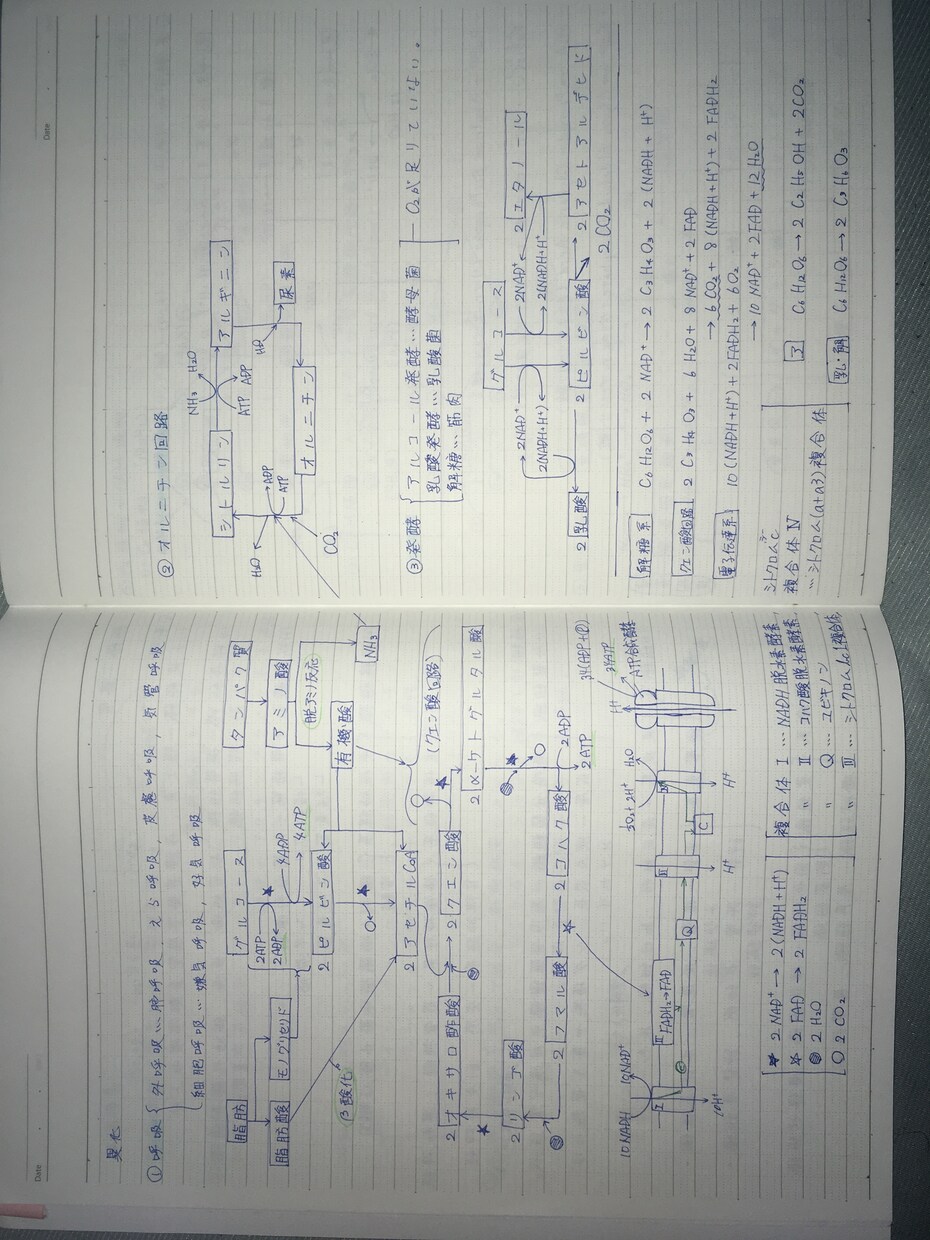 問題集解説を出来る限りわかりやすく噛み砕きます 省略されてる部分のせいで理解ができない方向け イメージ1