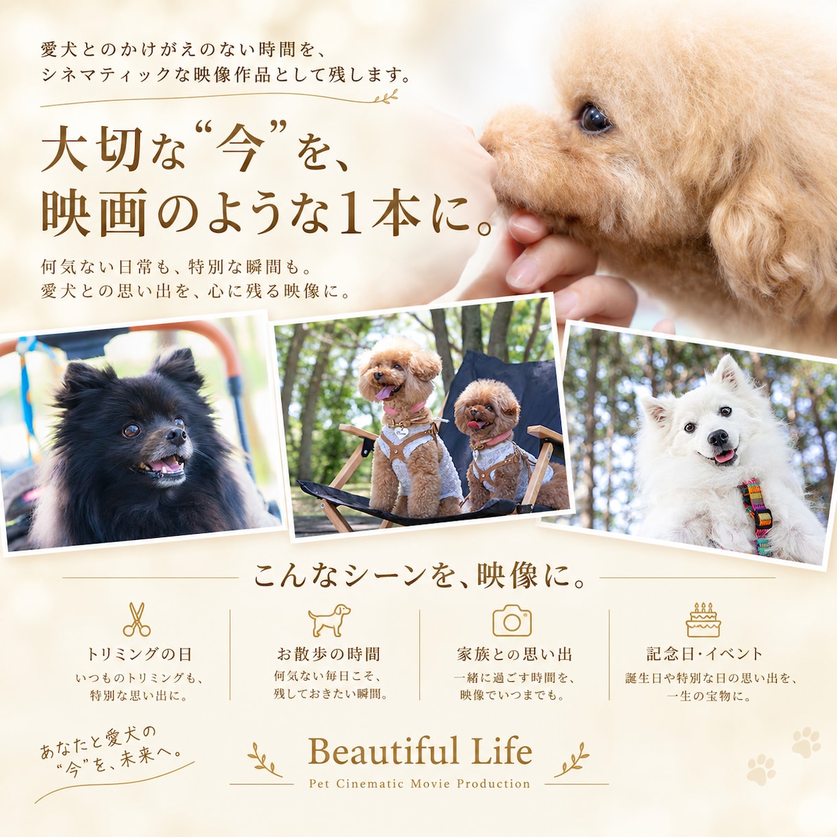 出張撮影｜わんちゃん・ペットを動画に残します プロ2名体制で撮影｜SNSにも使える高品質な仕上がり イメージ1