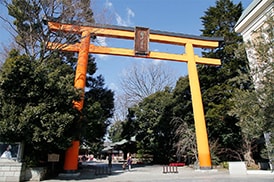 川越氷川神社＿恋愛・縁結びの神様☆代理参拝します 恋人・家族･友人･仕事……すべての“縁”を結ぶ神社でご祈願を イメージ2