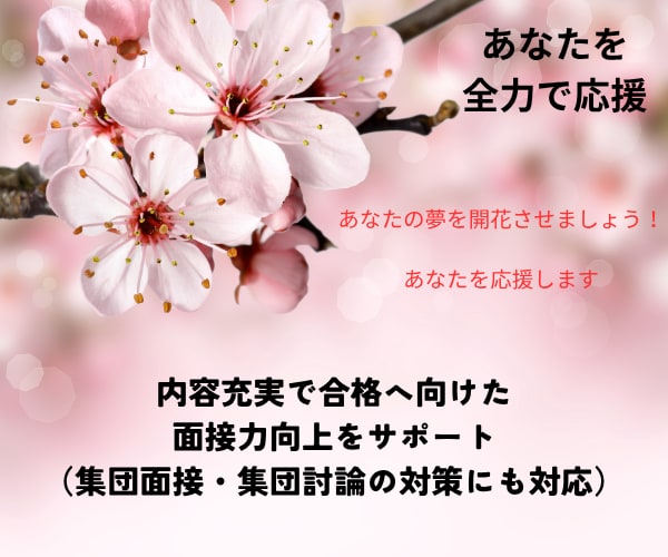 公務員試験◆民間企業試験★模擬面接で実力付きます 夢実現に向けた面接力向上・自信と実力を身につけるお手伝します イメージ4
