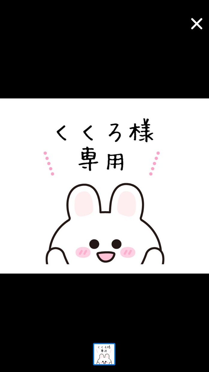 くくろ様専用でございます くくろ様イラスト作成専用でございます。 イメージ1