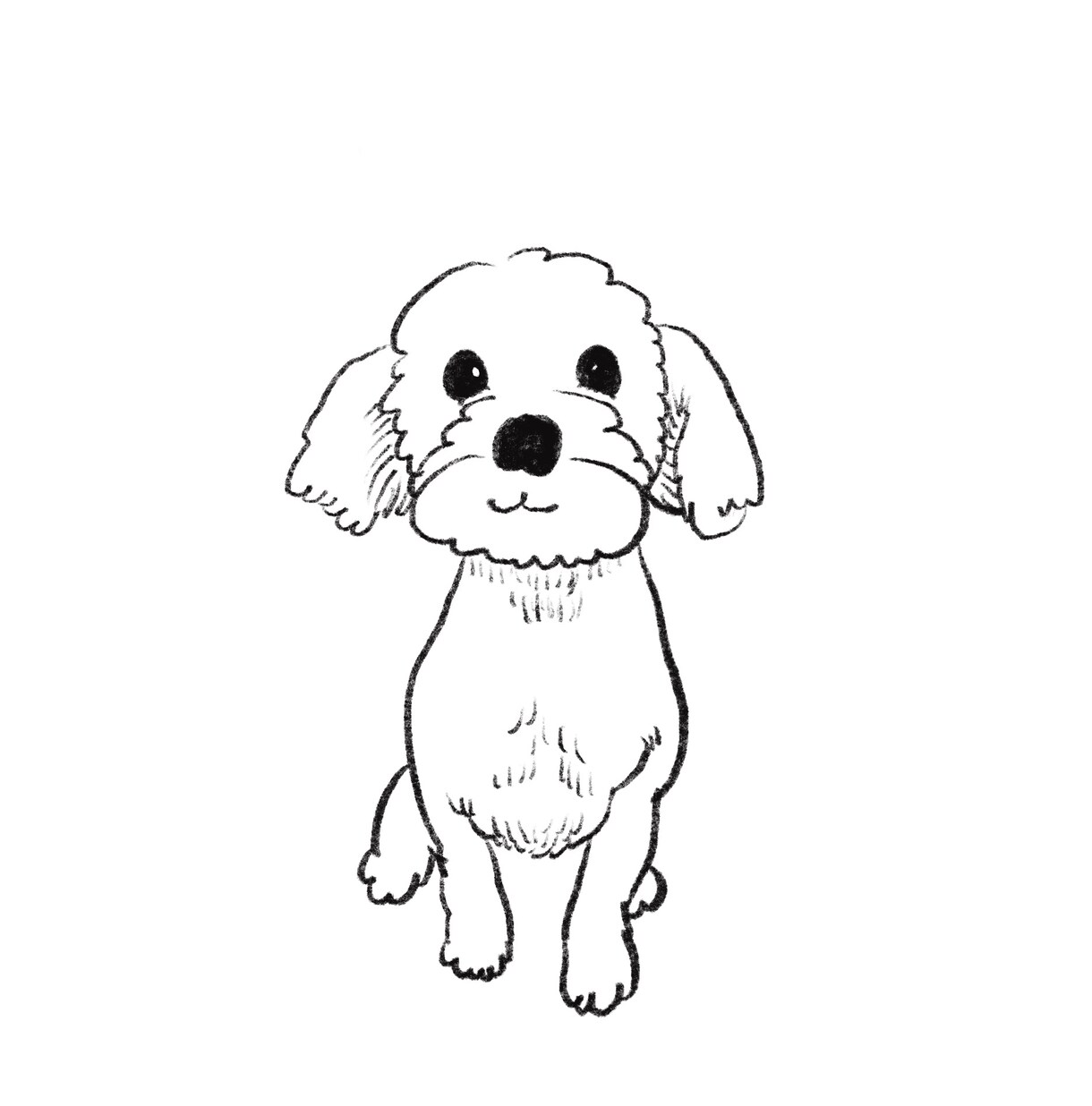 動物、虫などの生き物、人、なんでもイラストにします 線画でなんでも描きます♪どうぞお気軽にご相談下さい♪ イメージ2