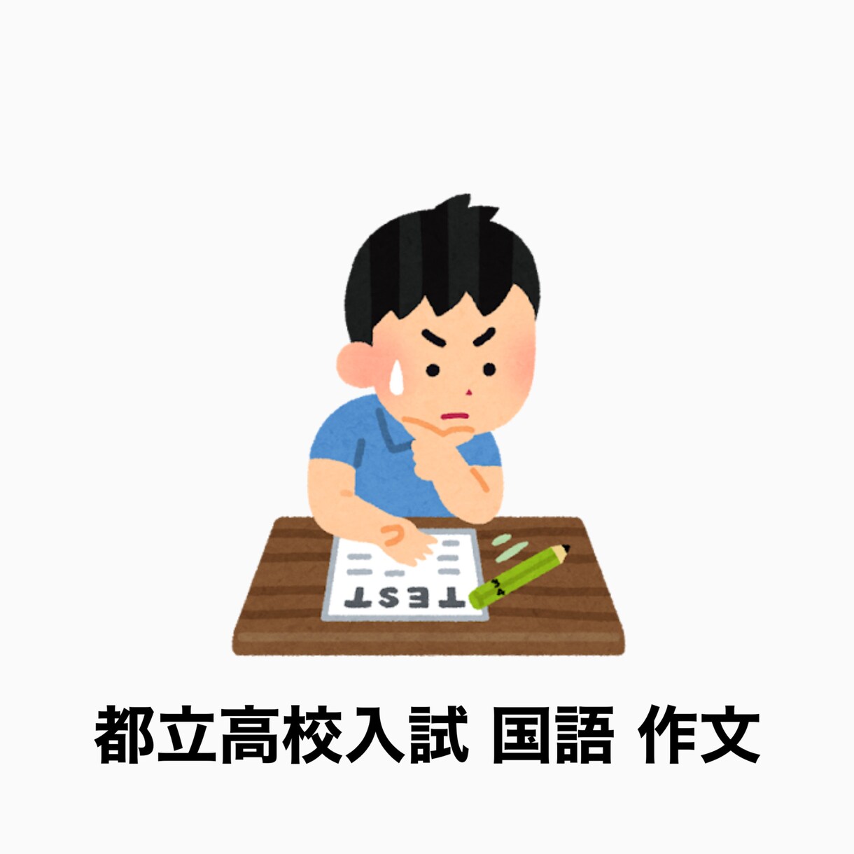 都立高校入試(国語)の作文を添削します 高得点を狙えるワンポイントアドバイスつき！ イメージ1