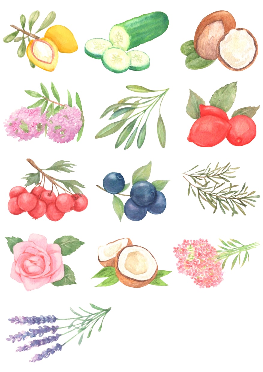 水彩画でイラスト素材を描かせていただきます 〜丁寧なヒアリング〜 温かく優しいタッチが得意です♪ イメージ4