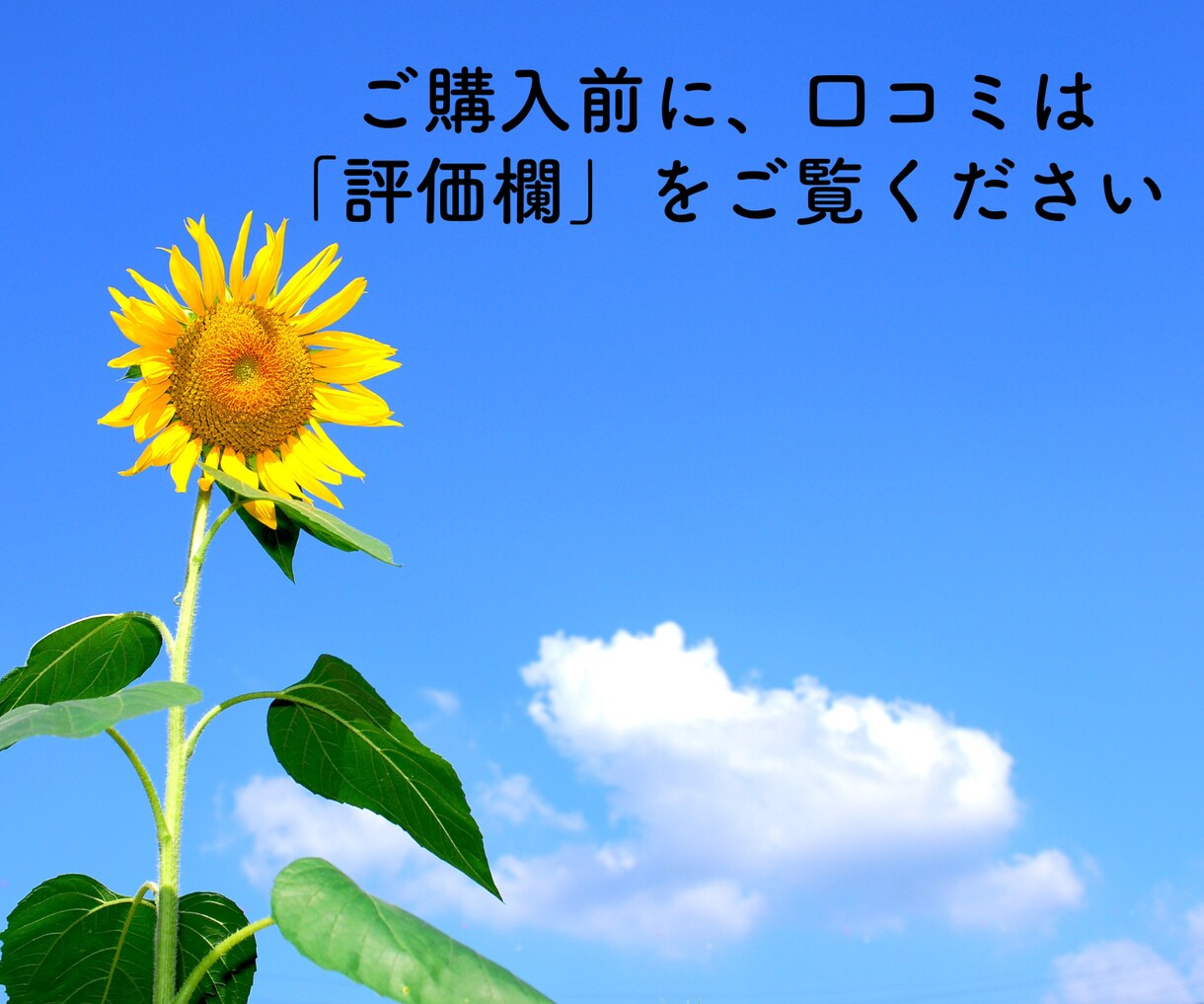 これから結婚相談所を始めたい仲人さんの相談乗ります 【これから結婚相談所を始めたい・仲人の仕事を知りたい方向け】 イメージ9