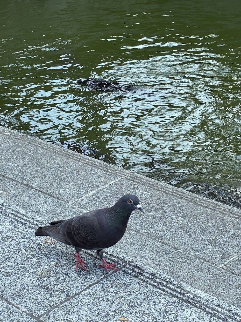 なんでもお答えします 自分の経験をもとにお話しできると思います イメージ1