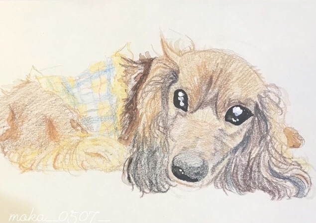 動物イラスト描きます カラフルに！可愛く描きます！動物だったらなんでもOK イメージ2