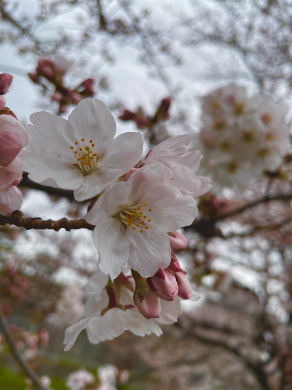 写真をエモく加工します エモい画像でSNSのフォロワー爆上げ！ イメージ2