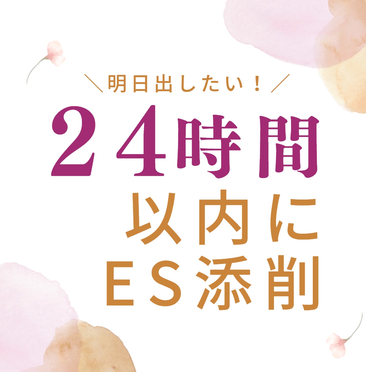 タイパNo.1■ESを24時間以内に添削します 24時間以内に添削完了/業界最速/速さが内定の近道 イメージ1