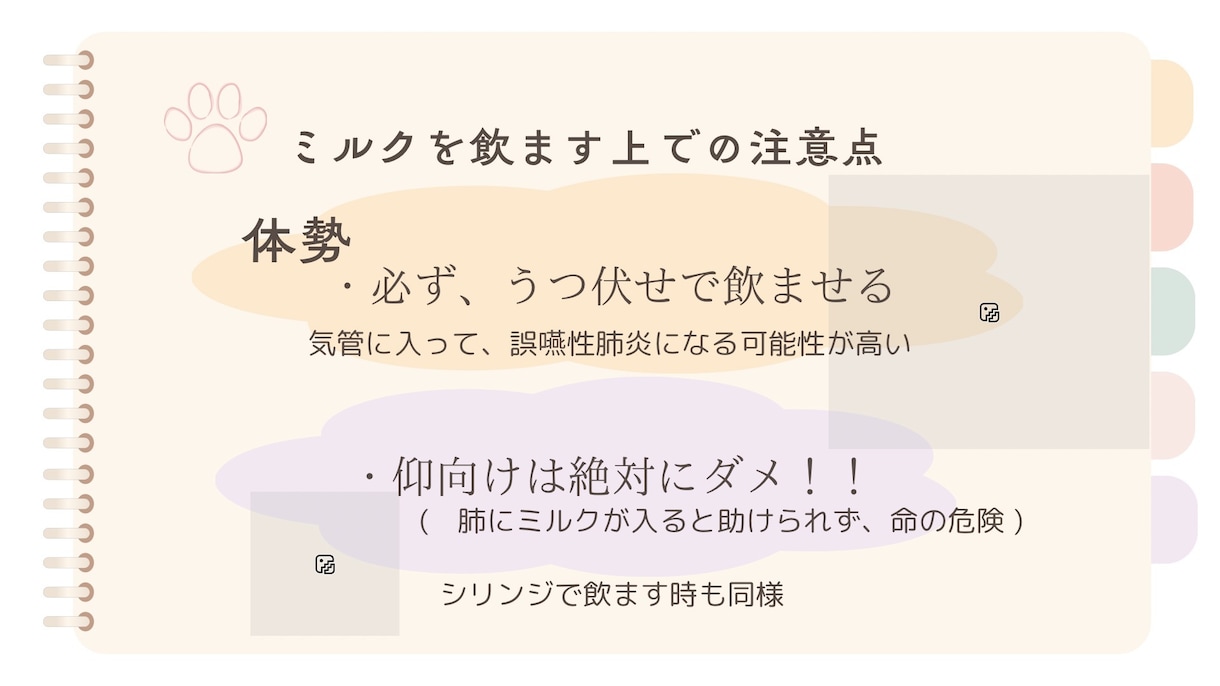 保護子猫の育て方（初心者歓迎）丁寧にサポートします 乳飲み子猫の命をつなぐ技術と知識、伝えます,ﾟ.:｡+ﾟ イメージ6
