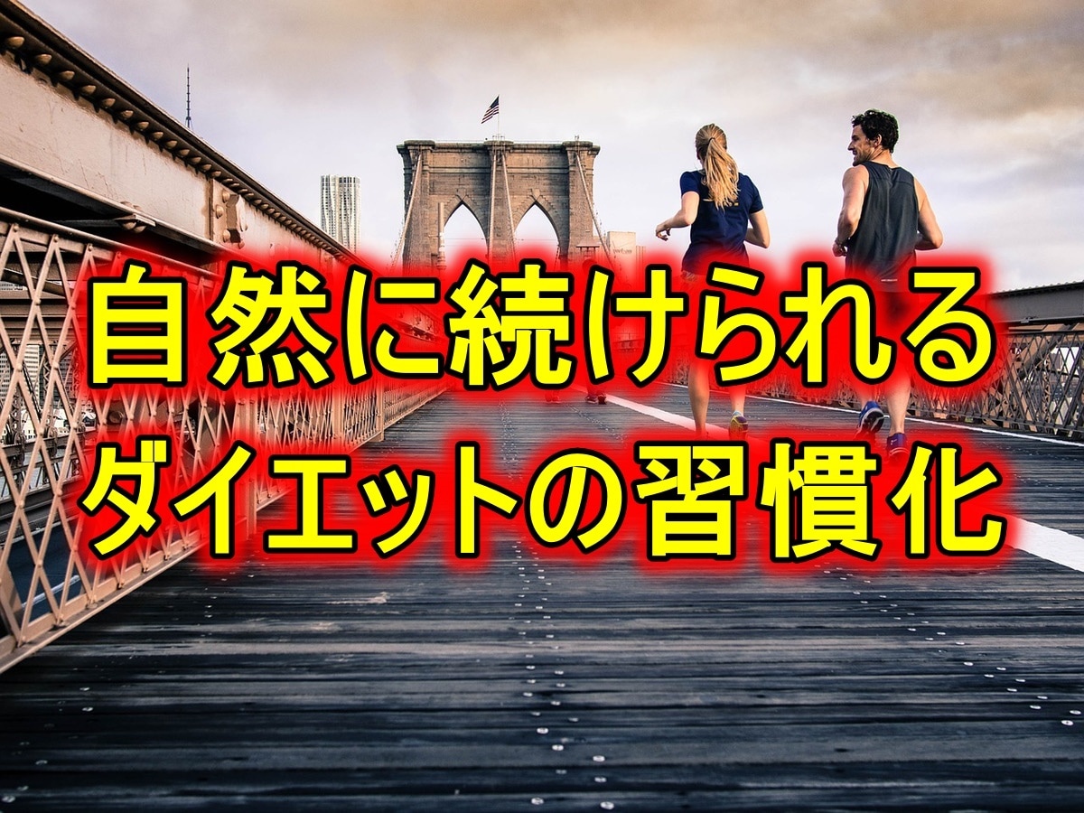 やれていない！続かない！ダイエットの習慣化教えます 仕事で忙しい人でも筋トレ・食事制限を自然に続けられるメソッド イメージ1