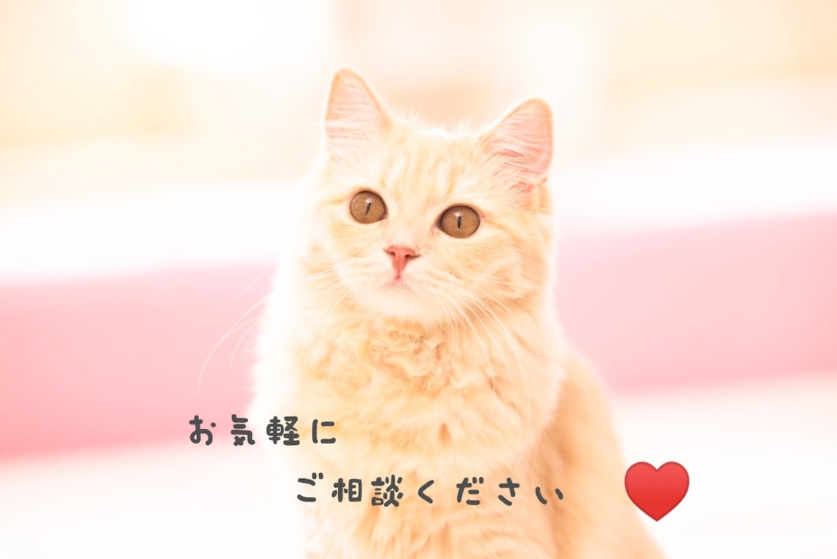 家計を優しく見直します 家計の相談したいけど、厳しいこと言われるのが嫌な方むけ イメージ2