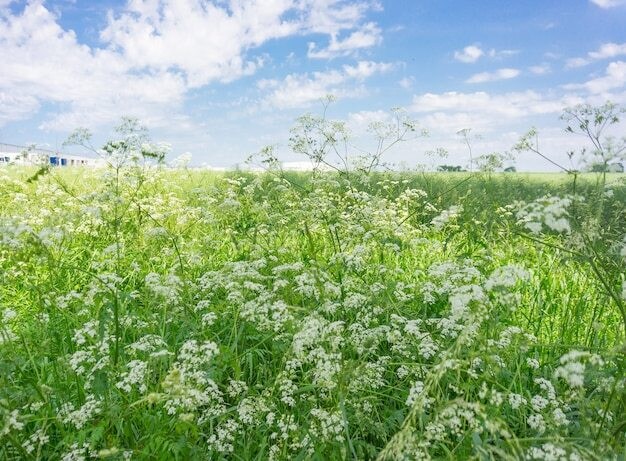 愚痴～話し相手、心の中のお悩み揉みほぐします 貴方のお悩みに愛溢れる寄り添いを努めて参ります‪ෆ‪.*･ﾟ イメージ3