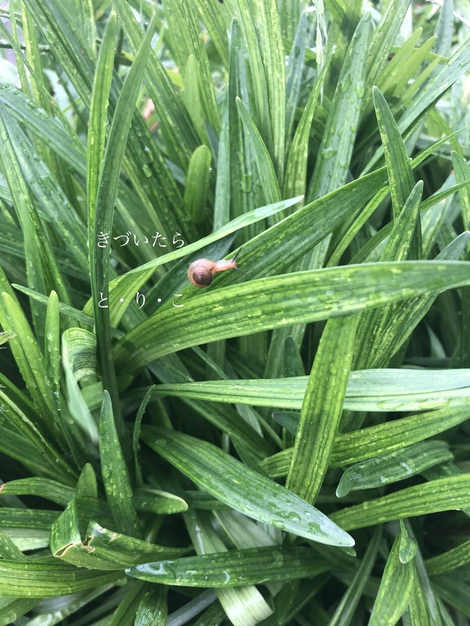 目と心にぶっ刺さるキャッチコピーを提案します ありきたりの「文句」より、アタラシイ「コトバ」を。 イメージ1