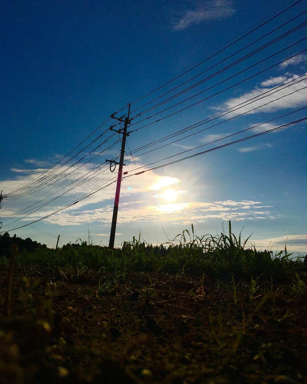 ご依頼に応じた写真撮影＋編集をします 安く!写真を使ってデザインしたい時!うまく決まらない時に! イメージ3