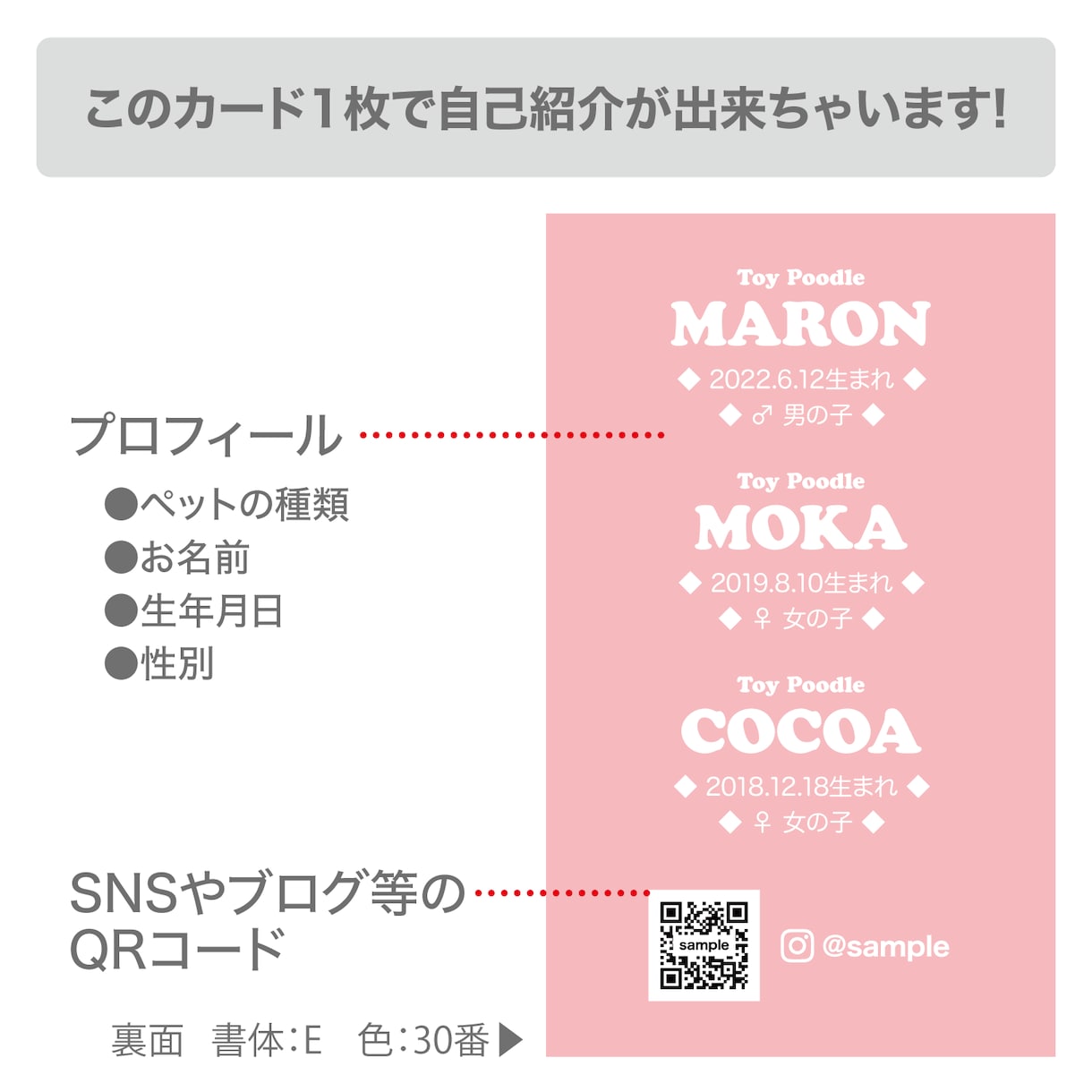 3匹用　シンプルデザイン　うちの子名刺お作りします 【両面印刷100枚】送料無料　セミオーダー　QRコード入り イメージ4