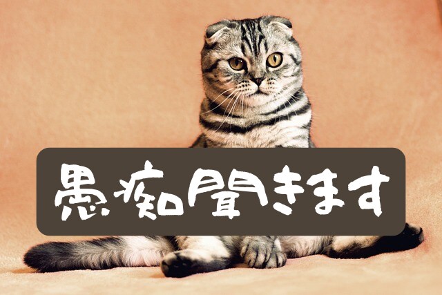 家族友人に言えない愚痴を聞きます 見ず知らずの他人に気兼ねなく愚痴ってください イメージ1