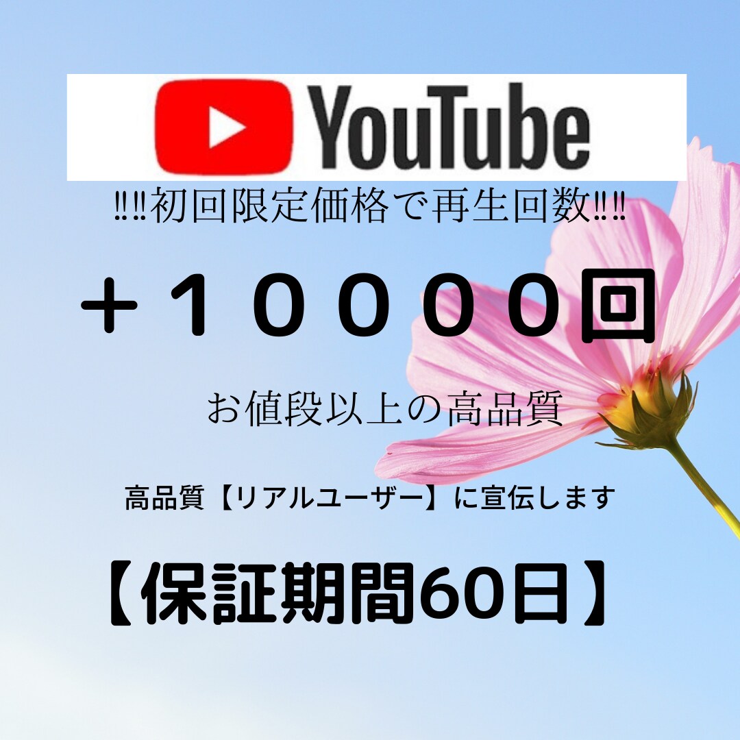 １分以上！YouTube動画＋１００００回します ⭐️再生回数＋１００００回増えるまでアプローチ⭐️ イメージ1