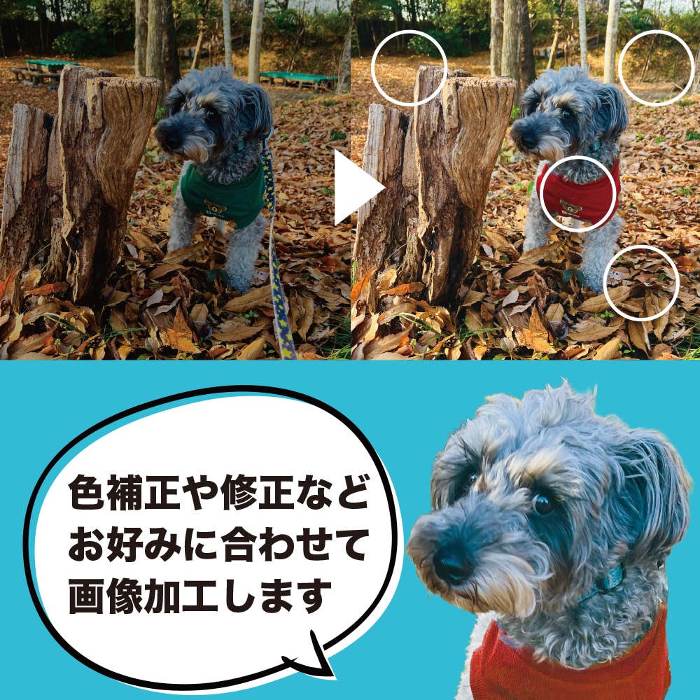 お好みに合わせた画像加工します 想い出の写真を美しく修正します！ イメージ1