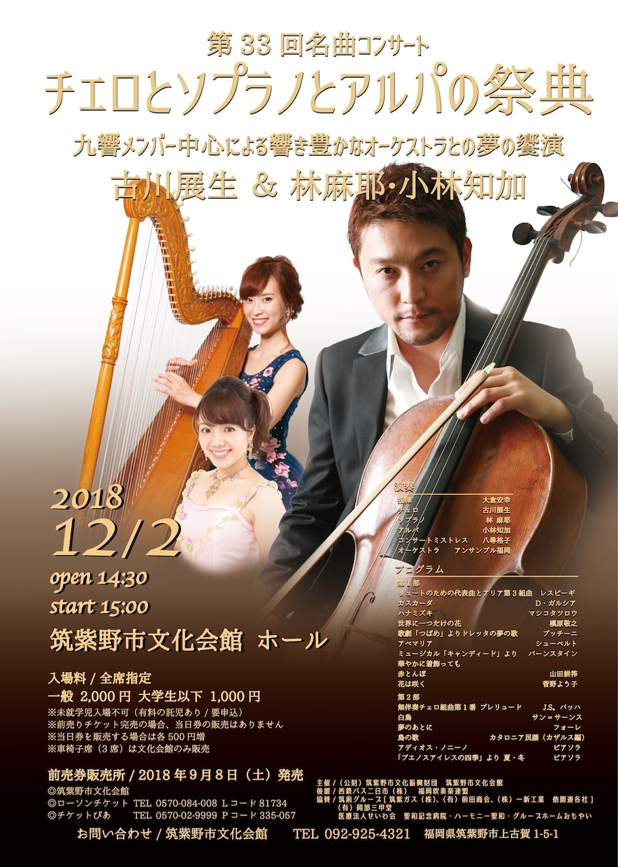 ポスター・チラシデザインします 演奏会やイベント宣伝・サークル紹介を効果的に！ イメージ1