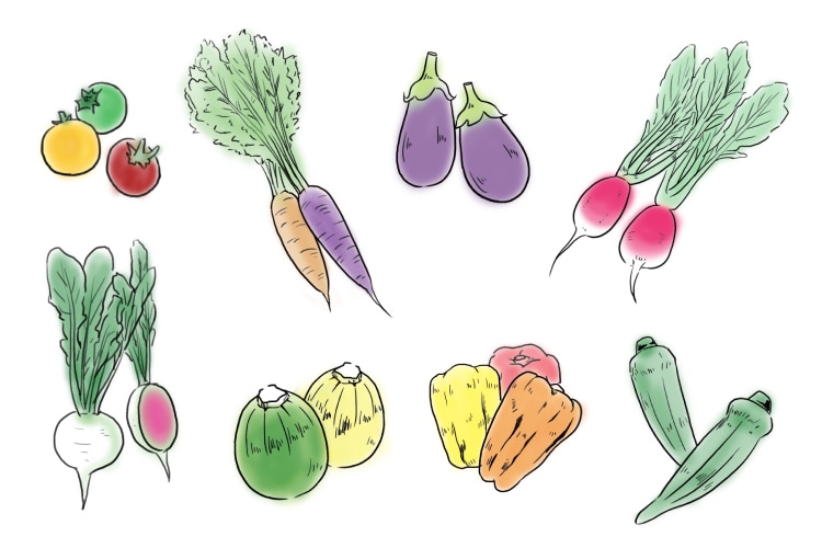 野菜や植物、料理のスケッチ風イラスト描きます メニュー表やパンフ等の挿絵にぴったりな植物・食べ物スケッチ イメージ4