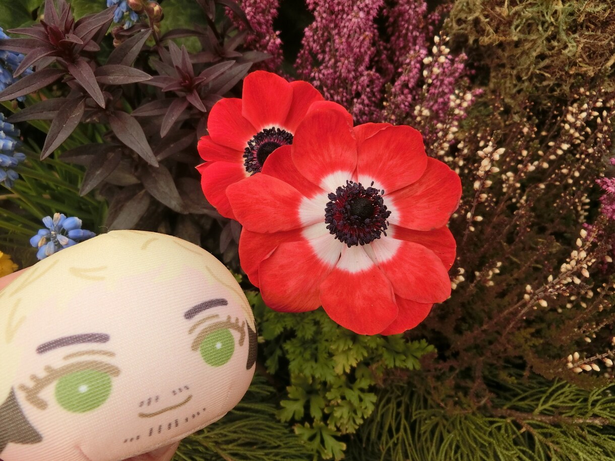 あなたに寄り添います 登校拒否、摂食障害、親子関係、お話しせませんか？ イメージ1