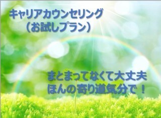 お試しキャリアカウンセリング　いたします 初めての方に、お試し価格でお悩みの整理のお手伝いします イメージ1