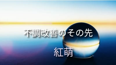 レイキで心身や人生の流れを浄化、心身魂を整えます 心身と魂に残されたカルマ、トラウマを浄化し幸せになりましょう イメージ3
