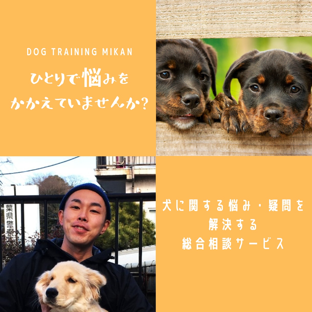知って安心！犬に関するあらゆる相談に答えます しつけ相談・トレーナー選び・犬の心理など 内容は問いません イメージ1