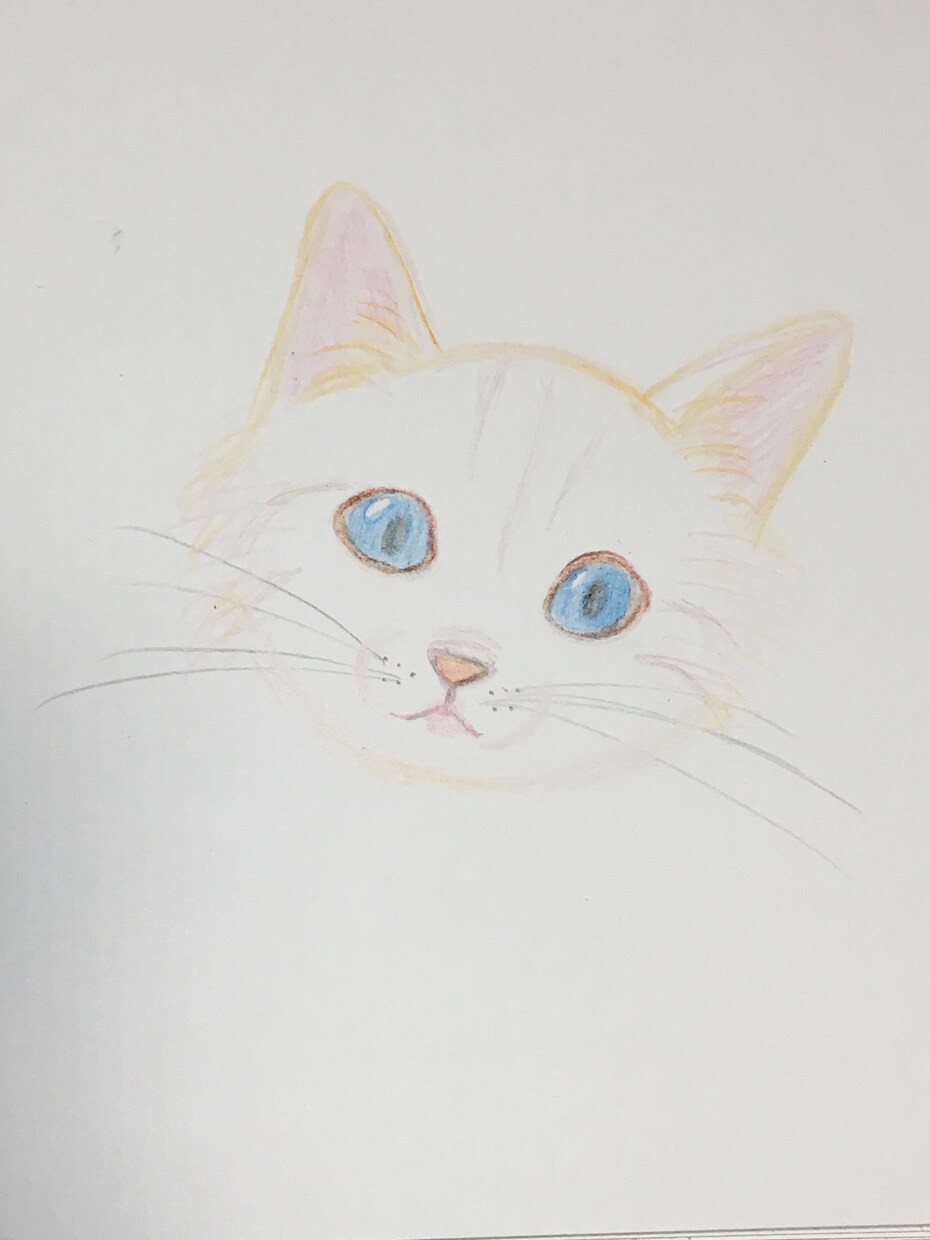 水彩鉛筆で似顔絵を描きます 結婚式や誕生日などお祝いごとのプレゼントに イメージ2