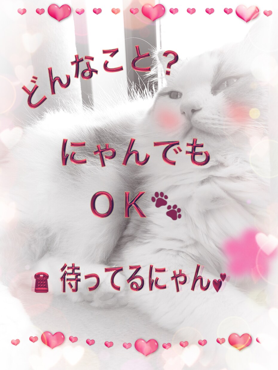 ペット大好きさん！待ってます ペット愛を一緒に語り合いましょう(・∀・) イメージ1