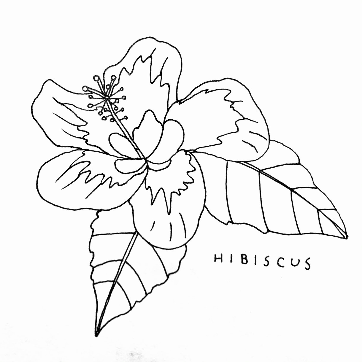 かわいらしい線画イラスト描きます ショップカードや本の挿絵にオススメです。 イメージ2