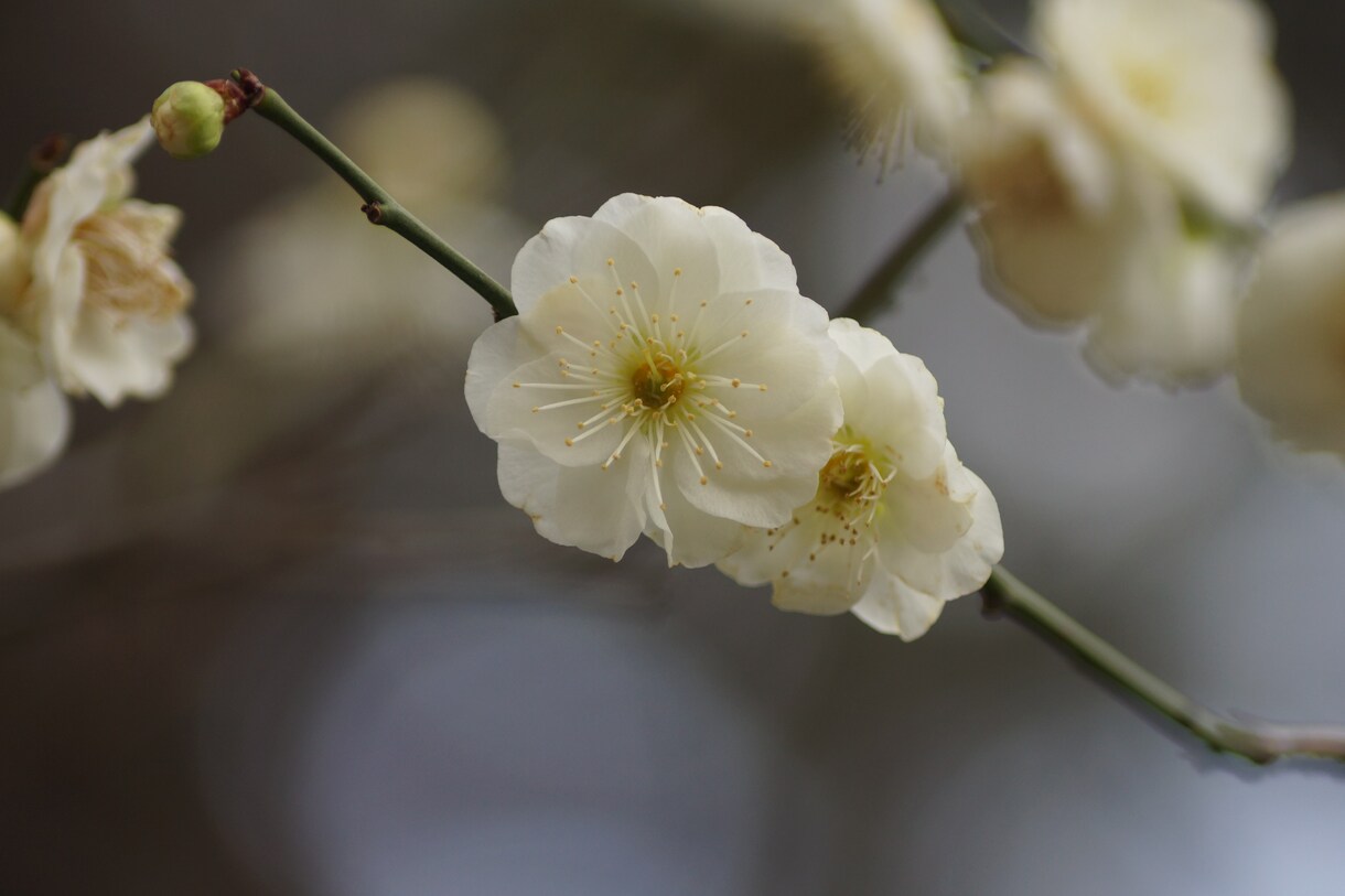お悩み相談や雑談をします 悩み相談や雑談など何でもお話お聞きします！ イメージ1