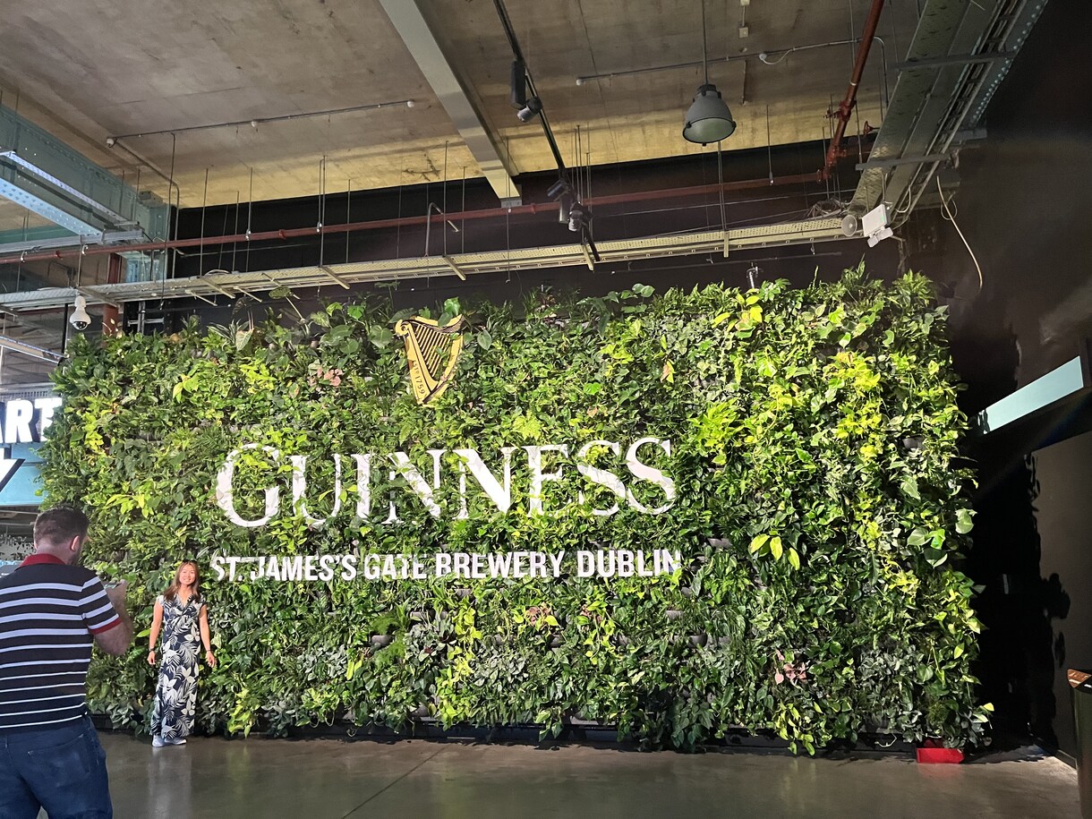 アイルランドでの観光・生活相談や旅行計画ができます アイルランド留学経験のある私が体験談・現地事情を教えます。 イメージ4