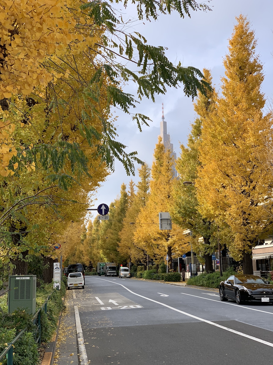 運気を考えた事業計画を設計できます 事業計画は経営の命運を握っています。 イメージ1