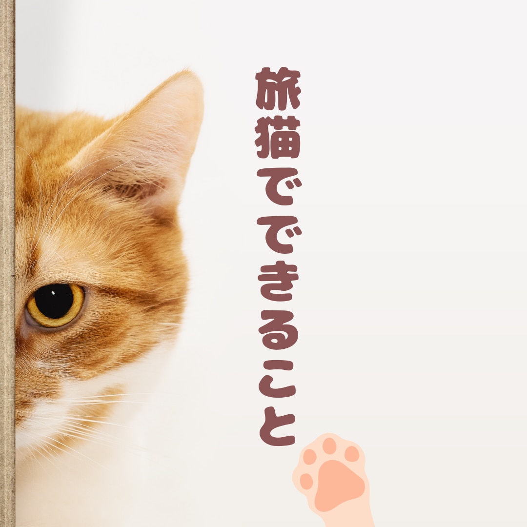 じゃらん・楽天などOTAの管理画面操作代行致します 元旅行会社出身者が旅館ホテル様の業務効率化をサポート☆ イメージ3