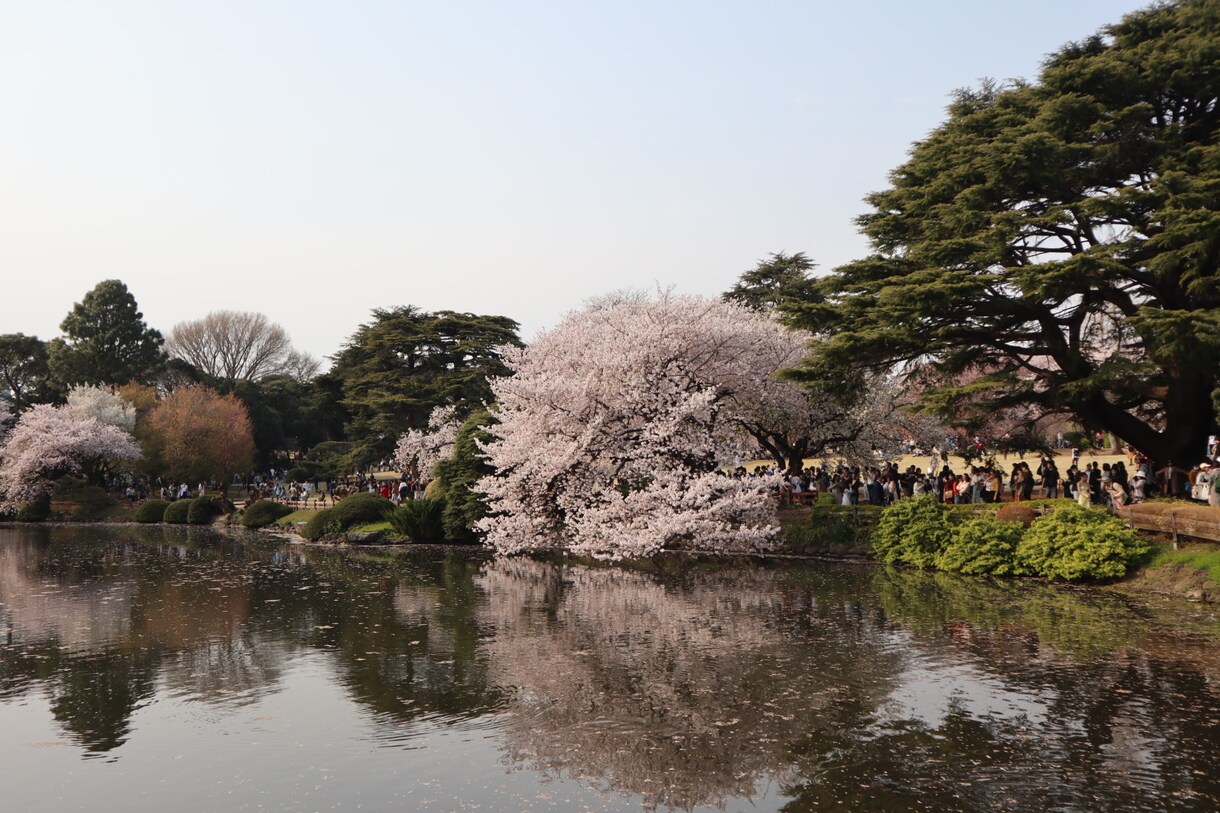 あなたの心に残るフォトをお届けします 自然体を生かし、一枚の写真で人の心を動かす写真家 イメージ9