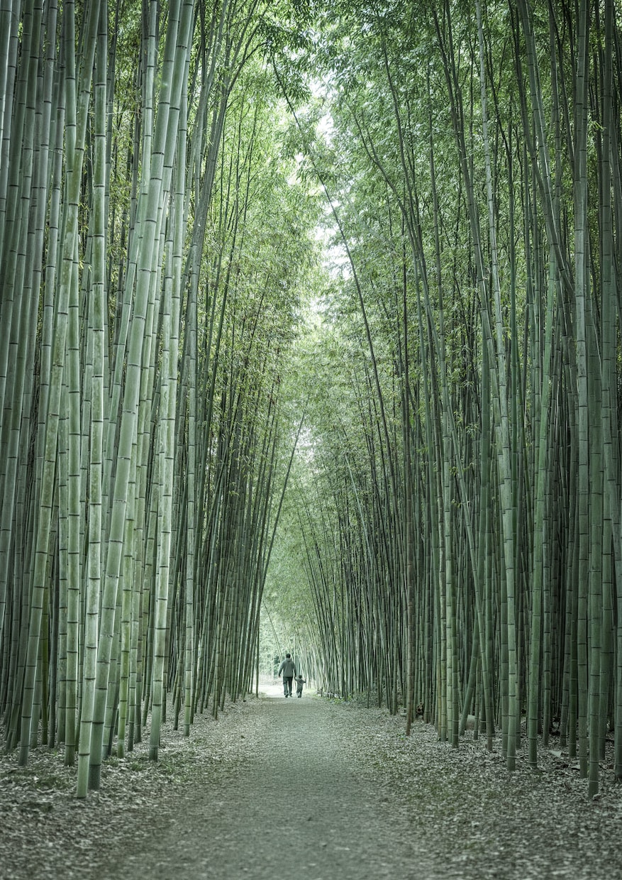 風景・人物・商品写真を美しく仕上げます 丁寧なレタッチで写真の魅力を高めます イメージ1