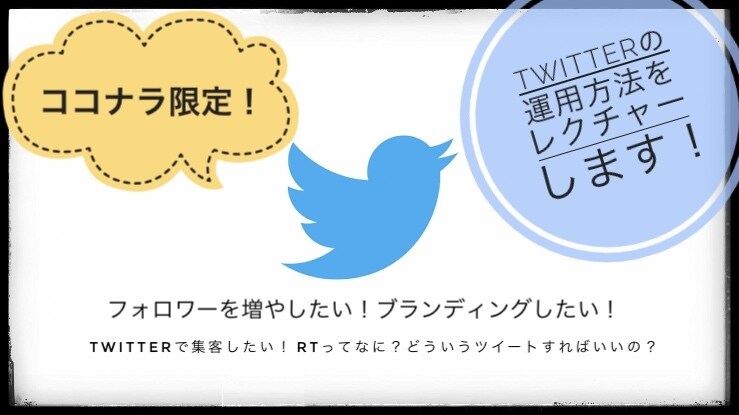 Twitterの運用方法教えます プロがTwitter運用についてアドバイスします！ イメージ1