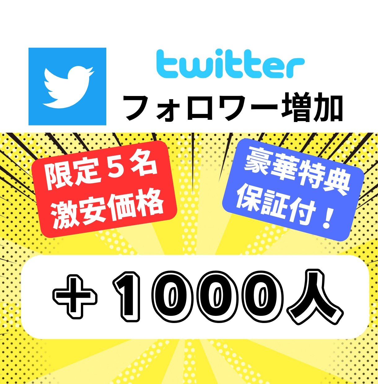 5名限定の激安！ツイッターのフォロワー増やします 【限定の激安価格】フォロワー＋1000人(特典2つ/保証付) イメージ1