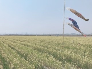 どんなお話でもお聞きします 今日あったストレスは今日のうちに発散しましょう！500円/時 イメージ1