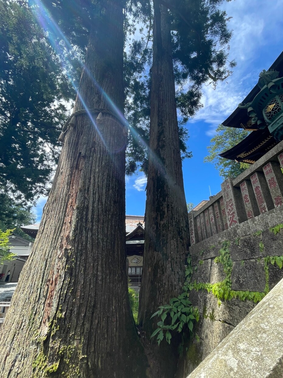 ネガティブな考え過ぎを解消します ネガティブに考えすぎてしまう方におすすめです！ イメージ1