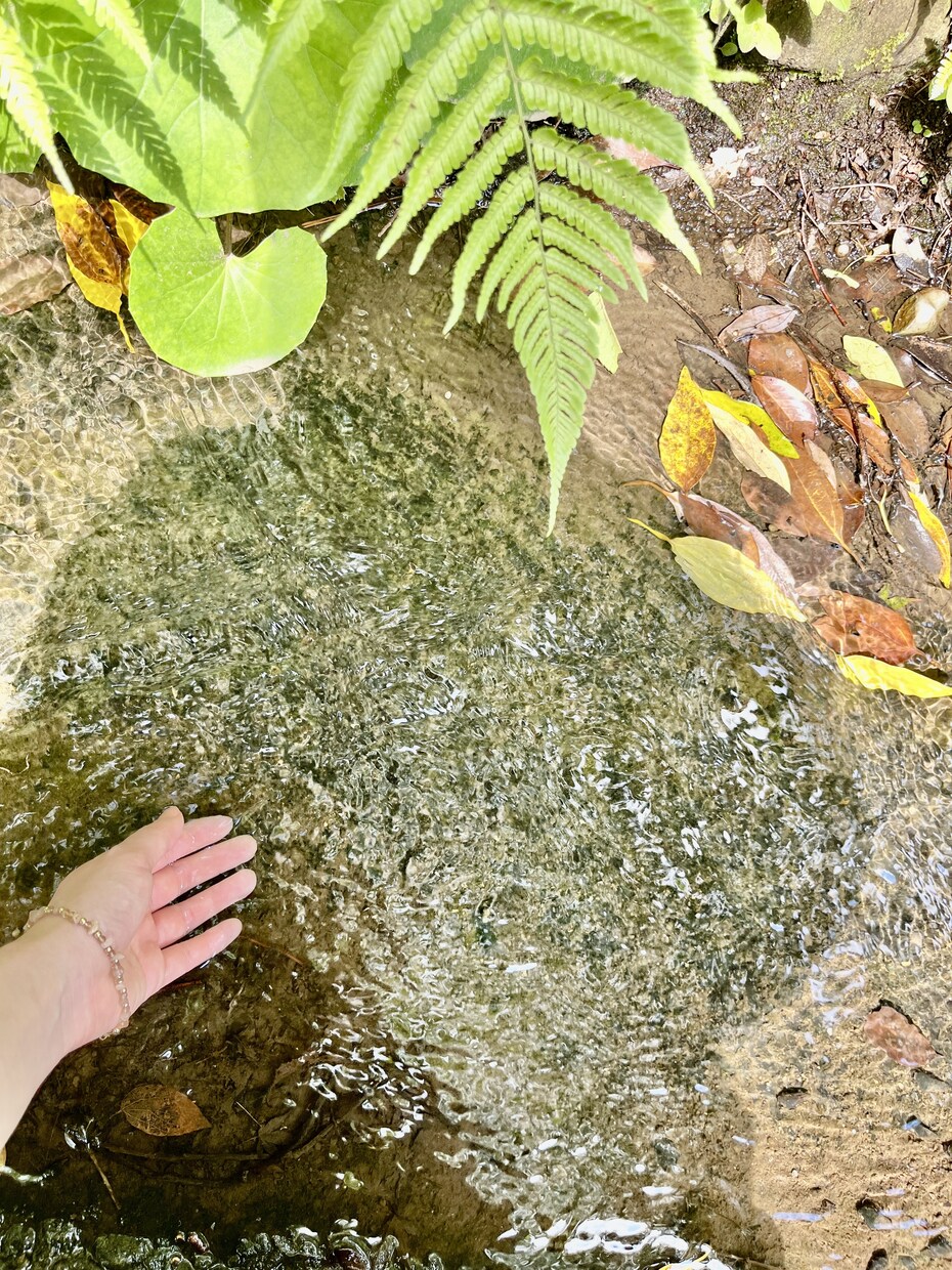 この世は愛で満ちています あなたの中に眠っている光を求めて イメージ1