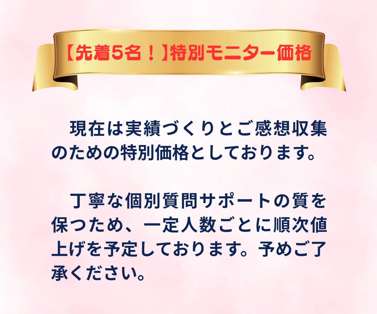 限定モニター！努力が追いつく超速学習法教えます 知識を理解し整理し使える力へ！全7本の超速学習動画講義 イメージ9