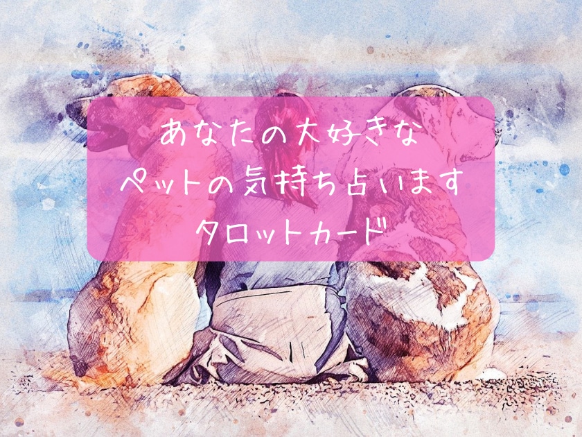 あなたの大好きなペットの気持ちを占います 大好きなペットの気持ちをしっかりお届けします イメージ1