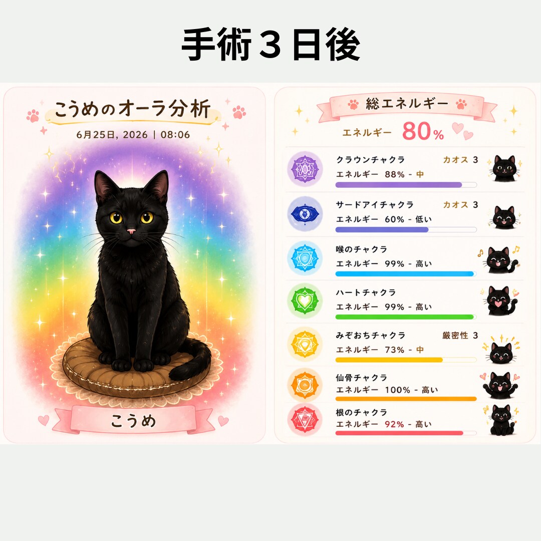 Healyによるオーラ分析をします チャクラとオーラから今を読み解きます イメージ3