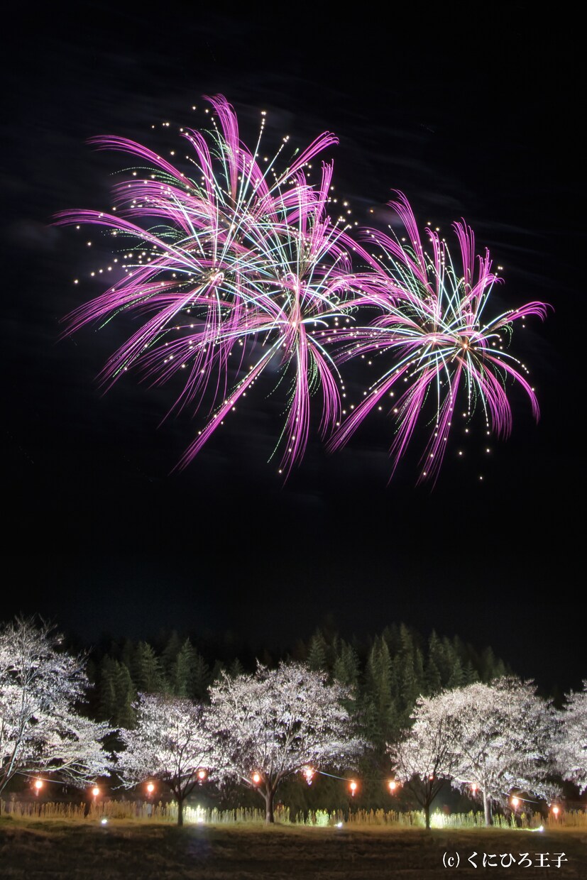 花火写真を提供します 花火だけでなく、夜景や建物等花火プラス風景の写真です。 イメージ9