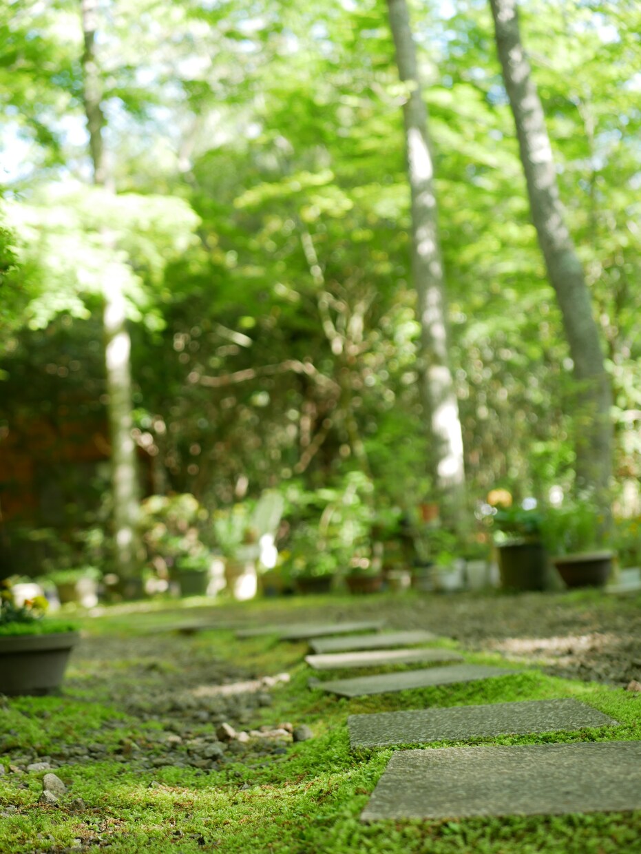 様々な風景の写真を提供致します ニーズにあった写真を提供致します。 イメージ6